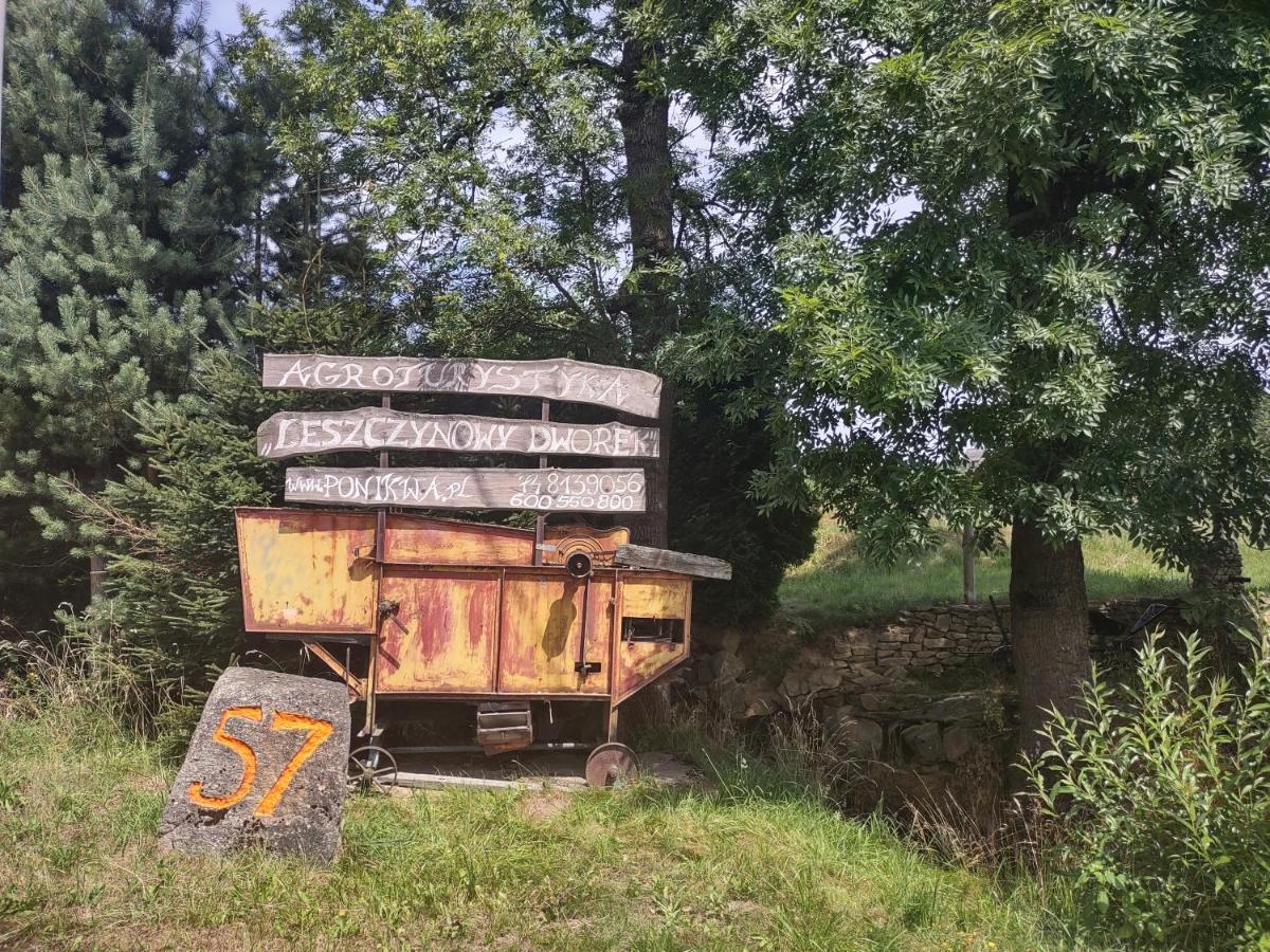 Agroturystyka Leszczynowy Dworek Ponikwa  Екстериор снимка